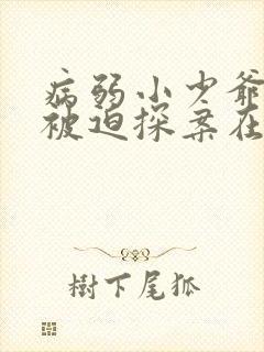 病弱小少爷又在被迫探案在线阅读