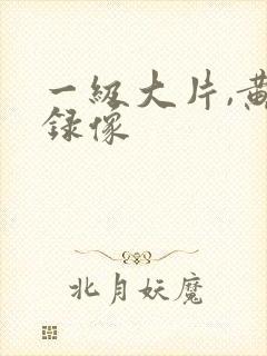 一级大片,黄色录像