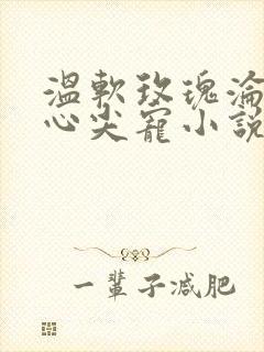 温软玫瑰沦为他心尖宠小说免费阅读