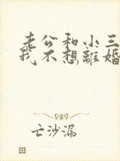 老公和小三怀孕我不想离婚该怎么办