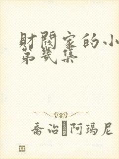 财阀家的小儿子第几集