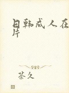 日韩成人在线毛片