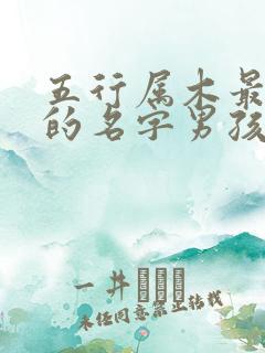 五行属木最吉利的名字男孩