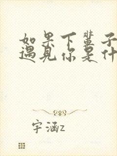 如果下辈子还能遇见你是什么歌词