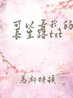 可以看我的模拟长生路txt