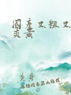 国产又粗又猛又爽黄