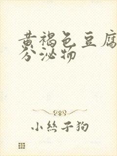 黄褐色豆腐渣状分泌物