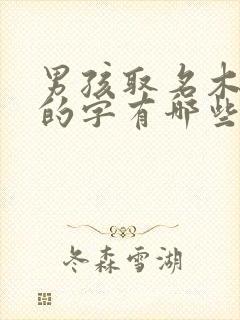 男孩取名木字旁的字有哪些字