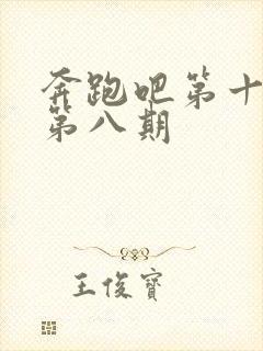 奔跑吧第十一季第八期