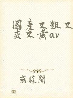 国产又粗又猛又爽又黄av