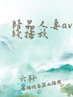 精品人妻av在线播放