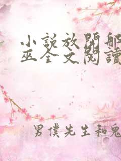 小说放开那个女巫全文阅读