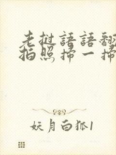 老挝语语翻译器拍照扫一扫翻译成中文