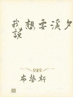 我想要溪夕汐小说