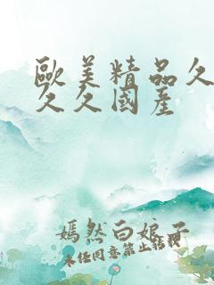 欧美精品久久久久久国产