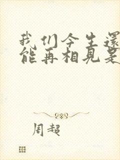 我们今生还能不能再相见是什么歌