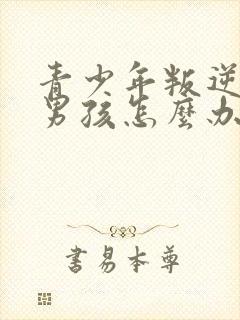 青少年叛逆期的男孩怎么办