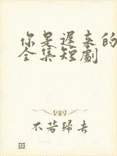 你是迟来的欢喜全集短剧