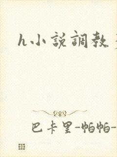 h小说调教多人