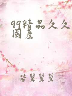 99精品久久久国产