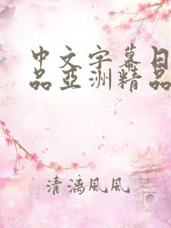 中文字幕日韩精品亚洲精品