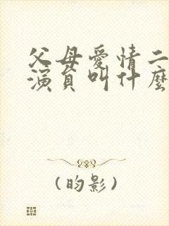 父母爱情二儿子演员叫什么
