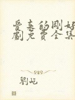 爱来的刚好电视剧免费全集