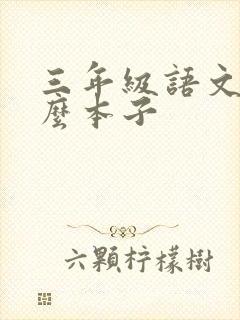 三年级语文用什么本子