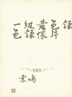 一级黄色录像黄色录像片