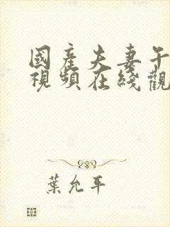 国产夫妻午夜小视频在线观看