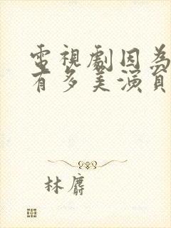 电视剧因为爱情有多美演员表