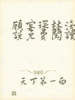 顾宴琛林浅月小说免费阅读最新章节