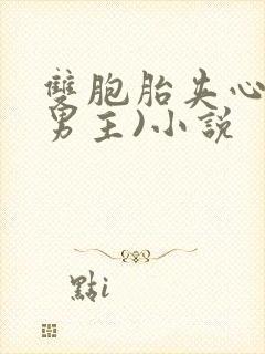 双胞胎夹心(双男主)小说