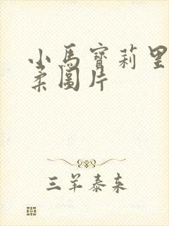 小马宝莉里的柔柔图片