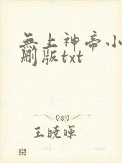 无上神帝小说未删版txt