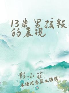 13岁男孩叛逆的表现