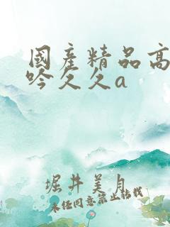 国产精品高潮呻吟久久a