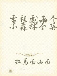 电视剧两个人的小森林全集免费观看