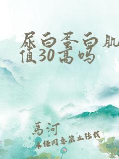 尿白蛋白肌酐比值30高吗