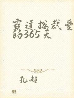 霸道总裁爱上我的365天