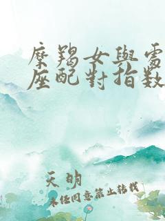 摩羯女与处女男座配对指数