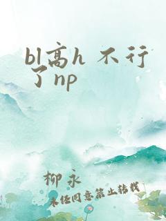 bl高h 不行了np
