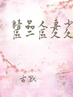 精品人妻少妇一区二区久久久精品视频