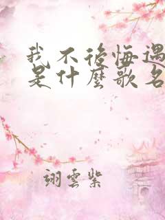 我不后悔遇见你是什么歌名