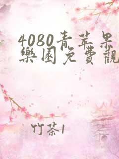 4080青苹果乐园免费观看电视剧高清