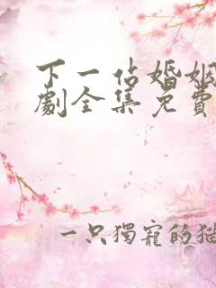 下一站婚姻电视剧全集免费