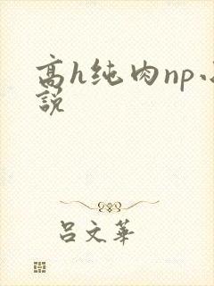 高h纯肉np小说