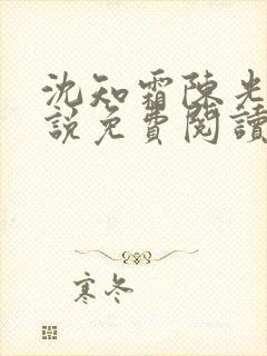 沈知霜陈光阳小说免费阅读