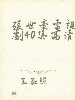 张世豪电视连续剧40集高清