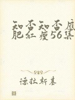 知否知否应是绿肥红瘦56集免费